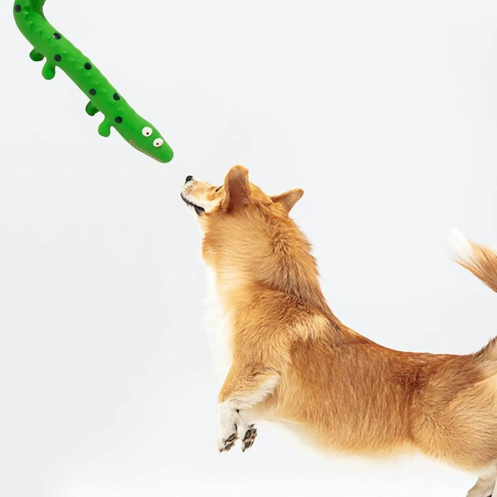Green cartoon lizard-shaped dog chew toy with squeaker function on white background