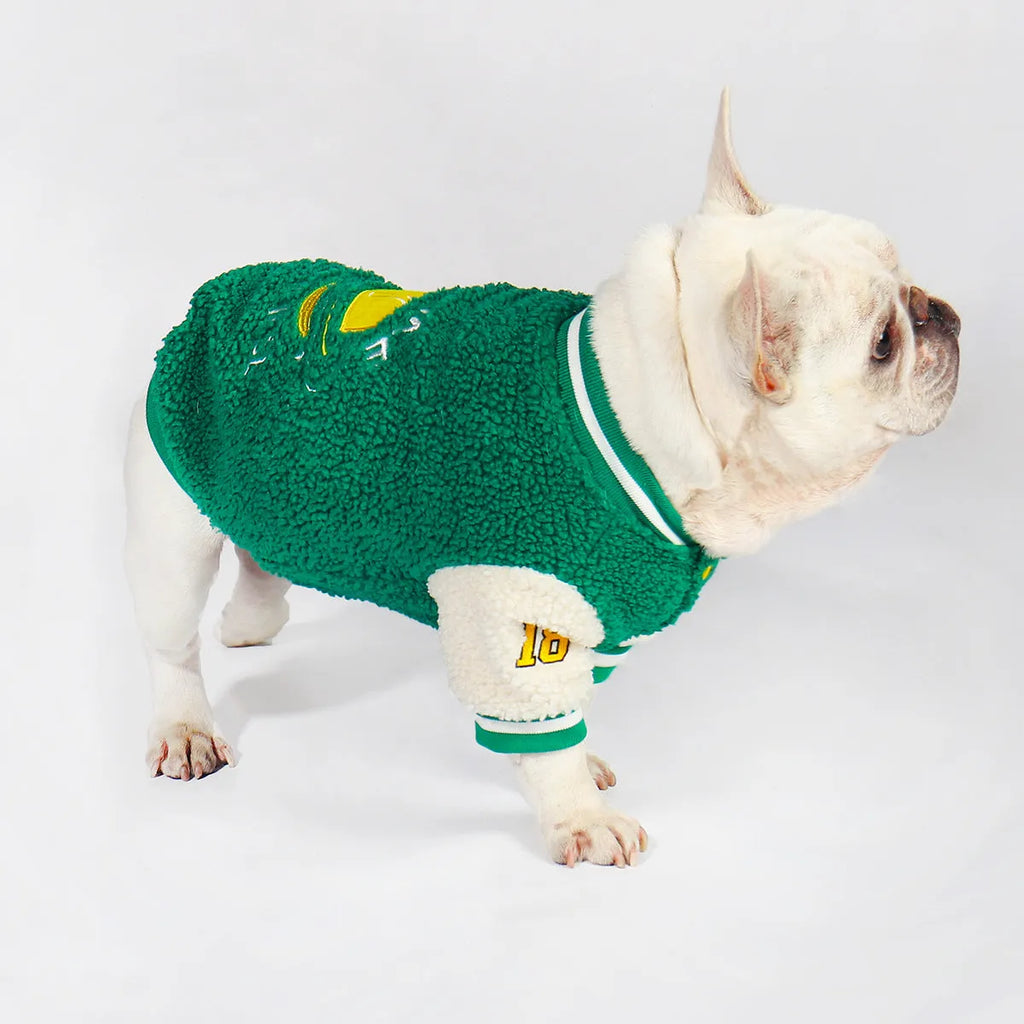 Green fleece-lined winter coat for dogs on larger breed in cotton fabric