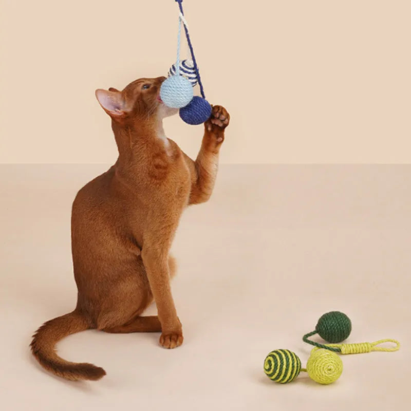 Cat toy set with 255mm teaser wand and catnip ball in blue, green, and multi-colour options