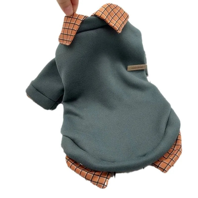Grey dog jumper with detachable collar hood on small breed dog