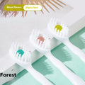 Box containing 20 individual pre-pasted bead toothbrushes for travel, shown with mint, peach, and green tea flavour options.