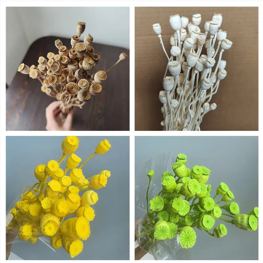 Dried flower Yu Meiren fruit DIY material bundle in multiple colours for corsage and headdress making