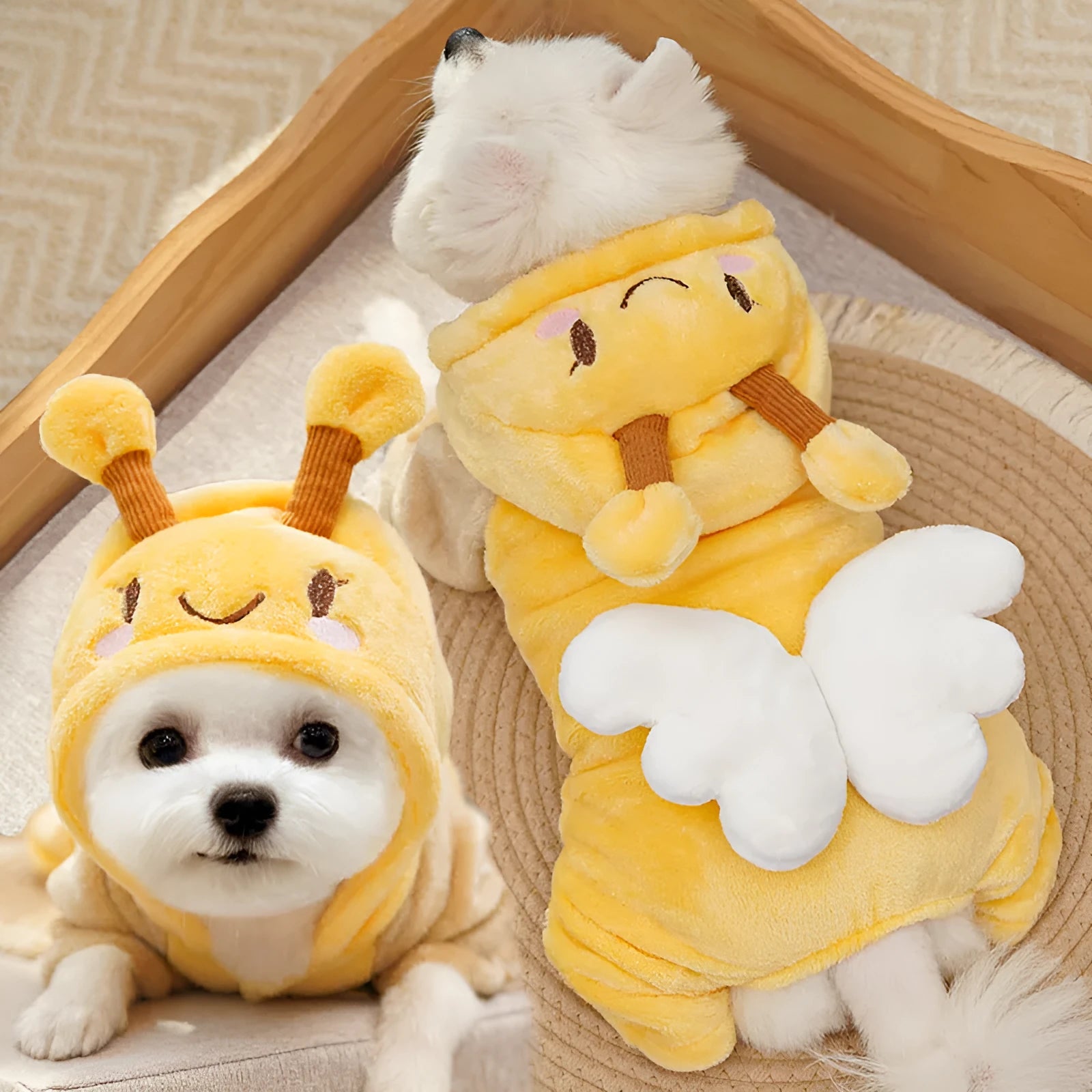 Four-legged fleece dinosaur pet costume in Smiling Bee colour on a dog, back length 20-57cm