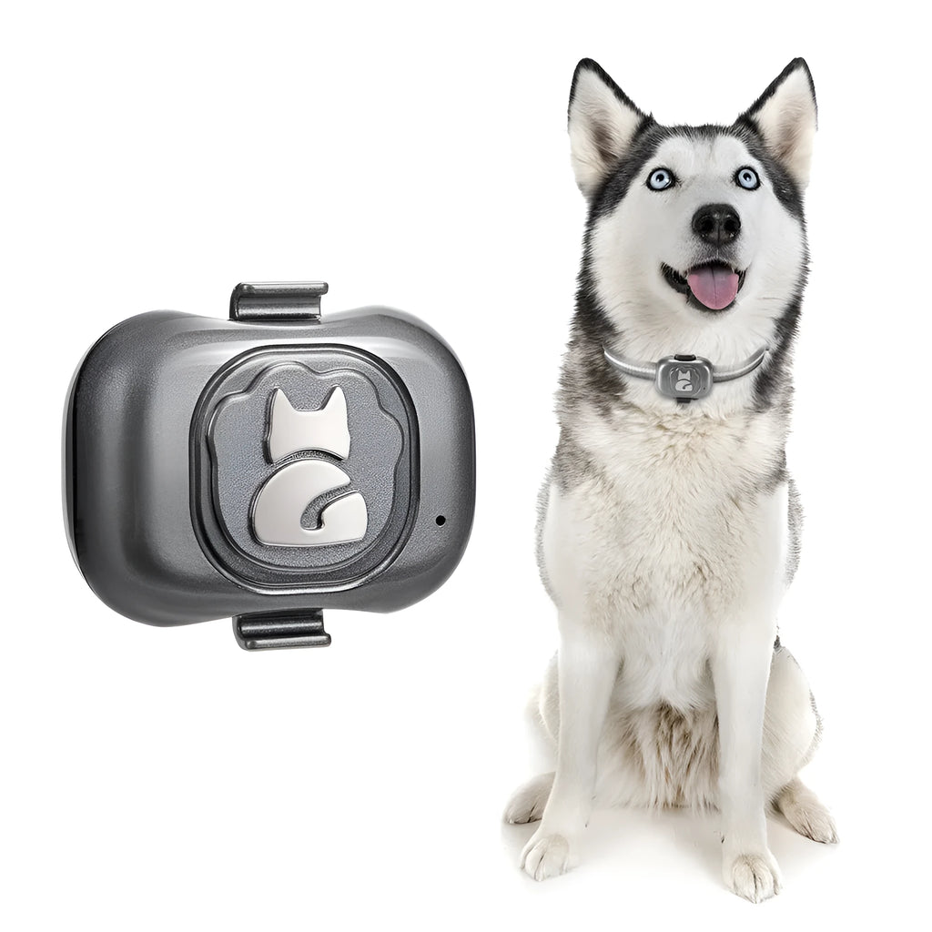 Black pet GPS tracker with hanging rope for cats and dogs showing IP67 waterproof rating