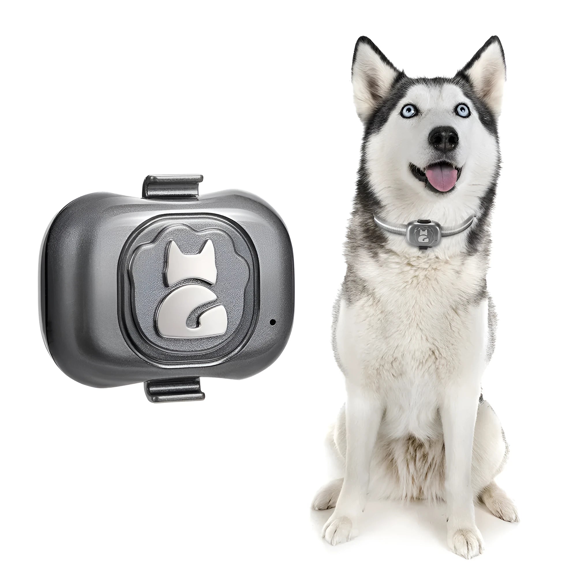 Black pet GPS tracker with hanging rope for cats and dogs showing IP67 waterproof rating