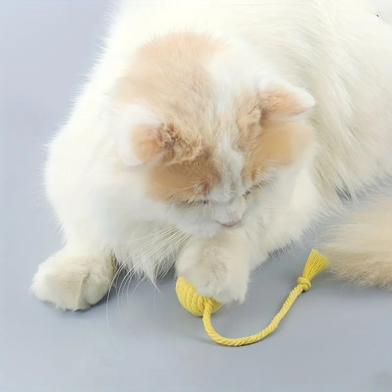 Green cat toy ball with rope and bell for kittens in 6cm and 3cm sizes