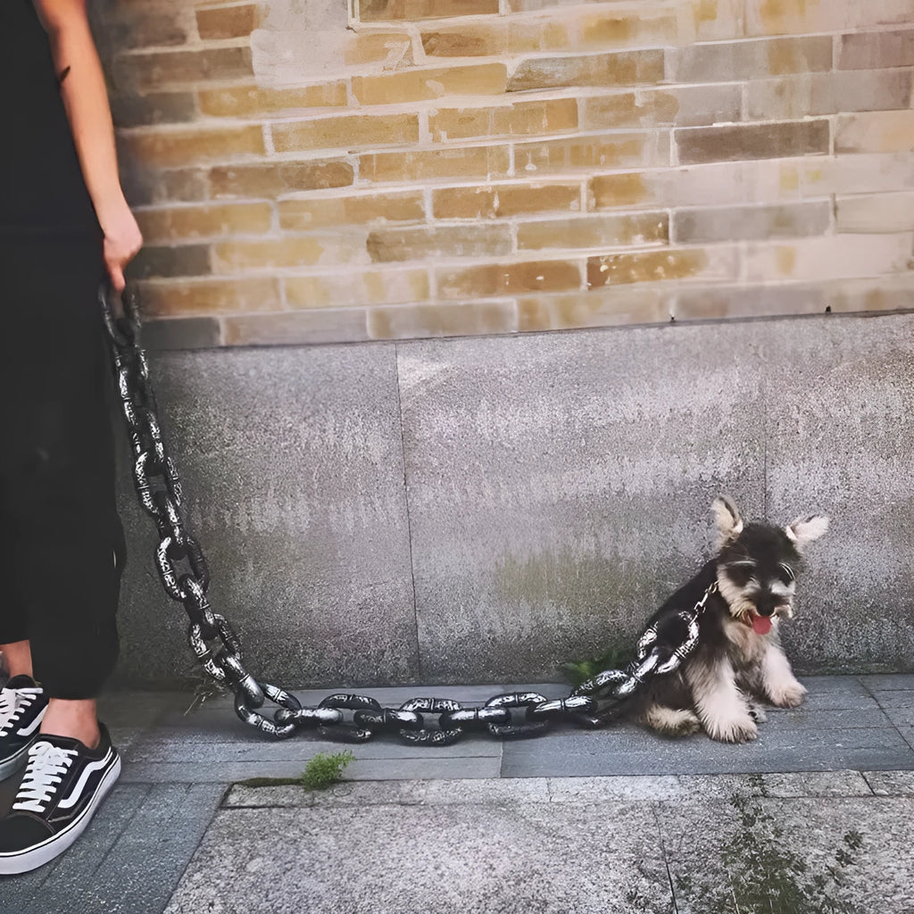 PP plastic dog leash in bronze, antique silver and black colour options on a white background.
