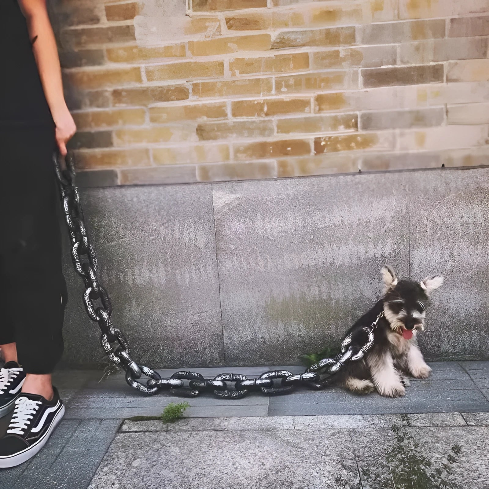 PP plastic dog leash in bronze, antique silver and black colour options on a white background.