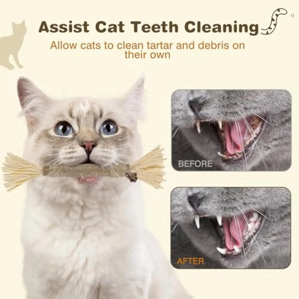 Three natural silvervine chew sticks for cats on wooden surface