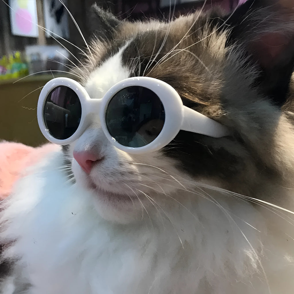 Pet dog cat multi-color sunglasses with UV380 protection PC lens resin frame round style