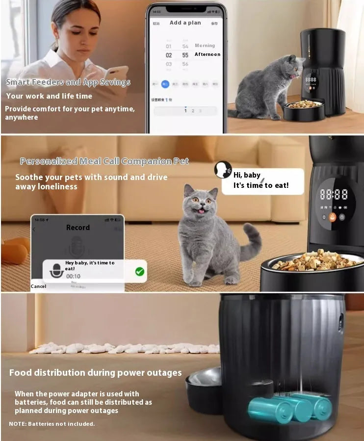 Black automatic pet feeder with digital display and food container on kitchen counter