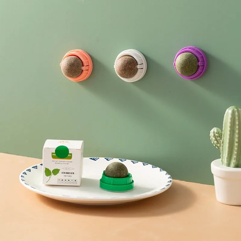 Plastic catnip ball toy in various colours for molar teeth cleaning and feline enrichment.