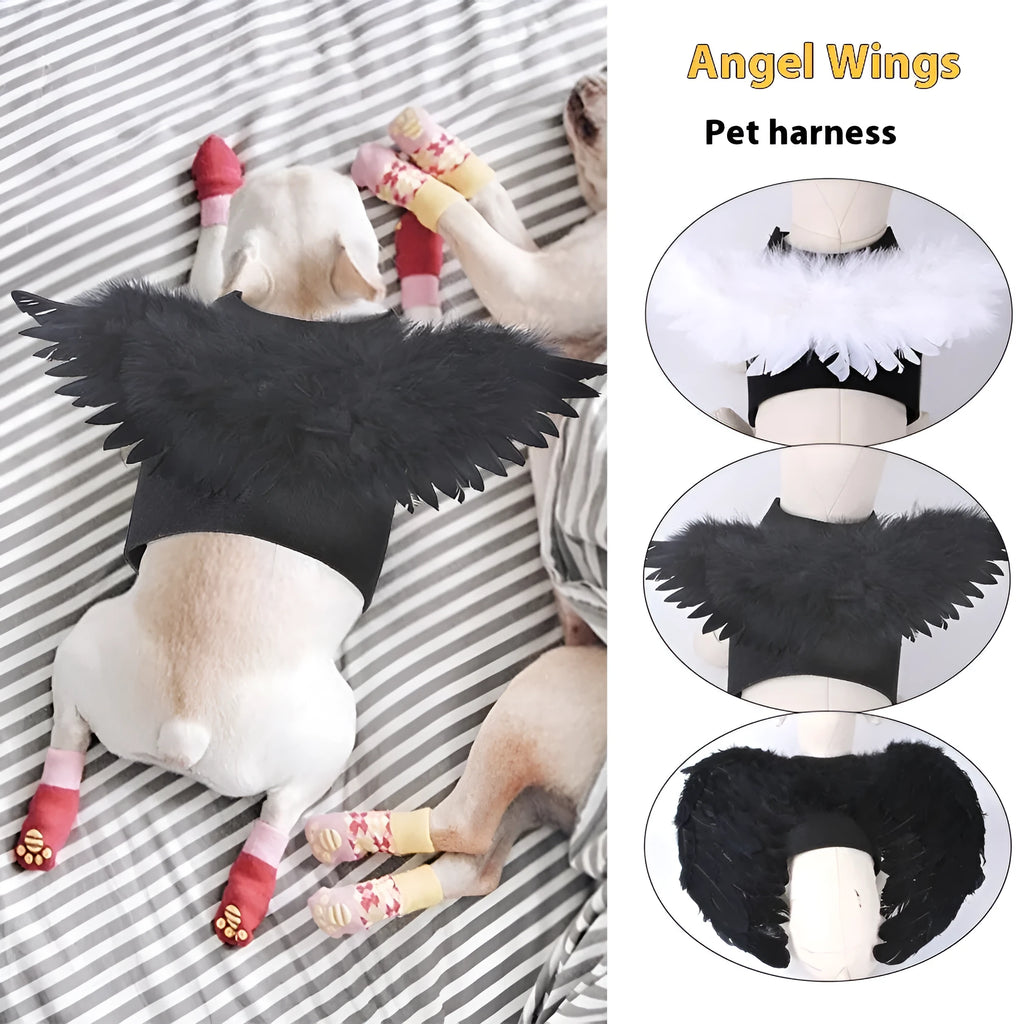 Halloween angel wings dog costume in felt cloth, chest-back design, available in black or white, sizes S M L