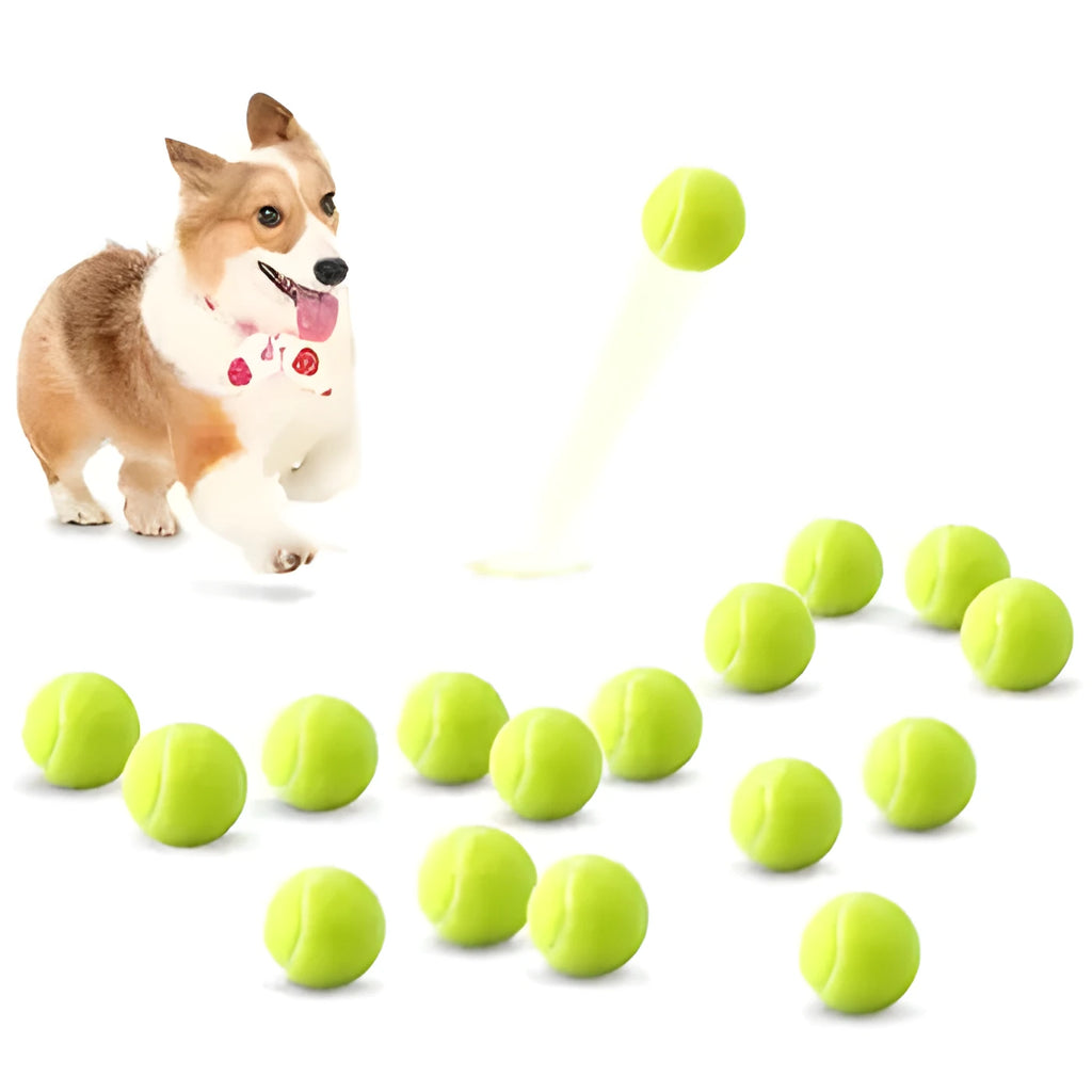Bite-resistant rubber dog tennis ball toy in assorted colours, 6.3 cm in size.