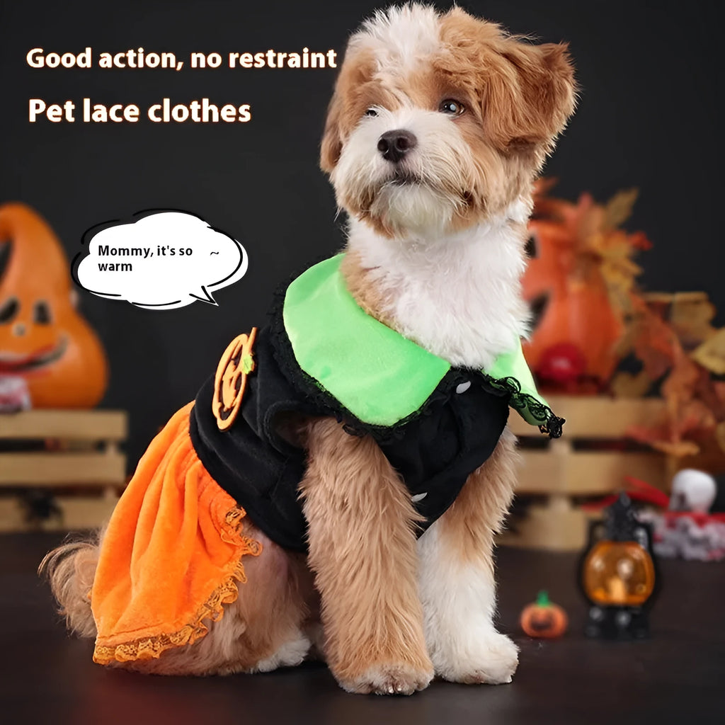 Halloween pumpkin costume for small dog, crystal velvet skirt and sweater options shown.