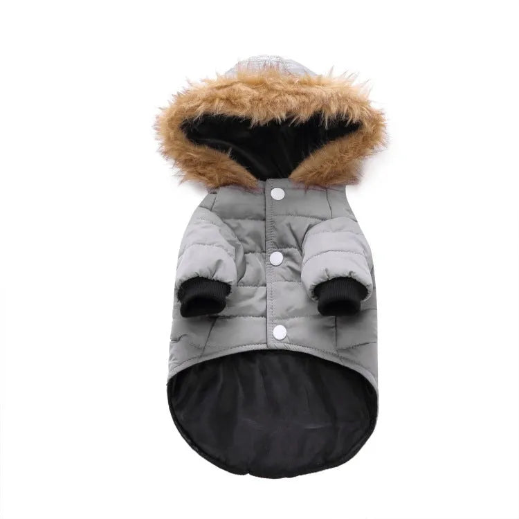Winter pet dog coat polyester cotton lining available in green grey and red sizes S M L XL