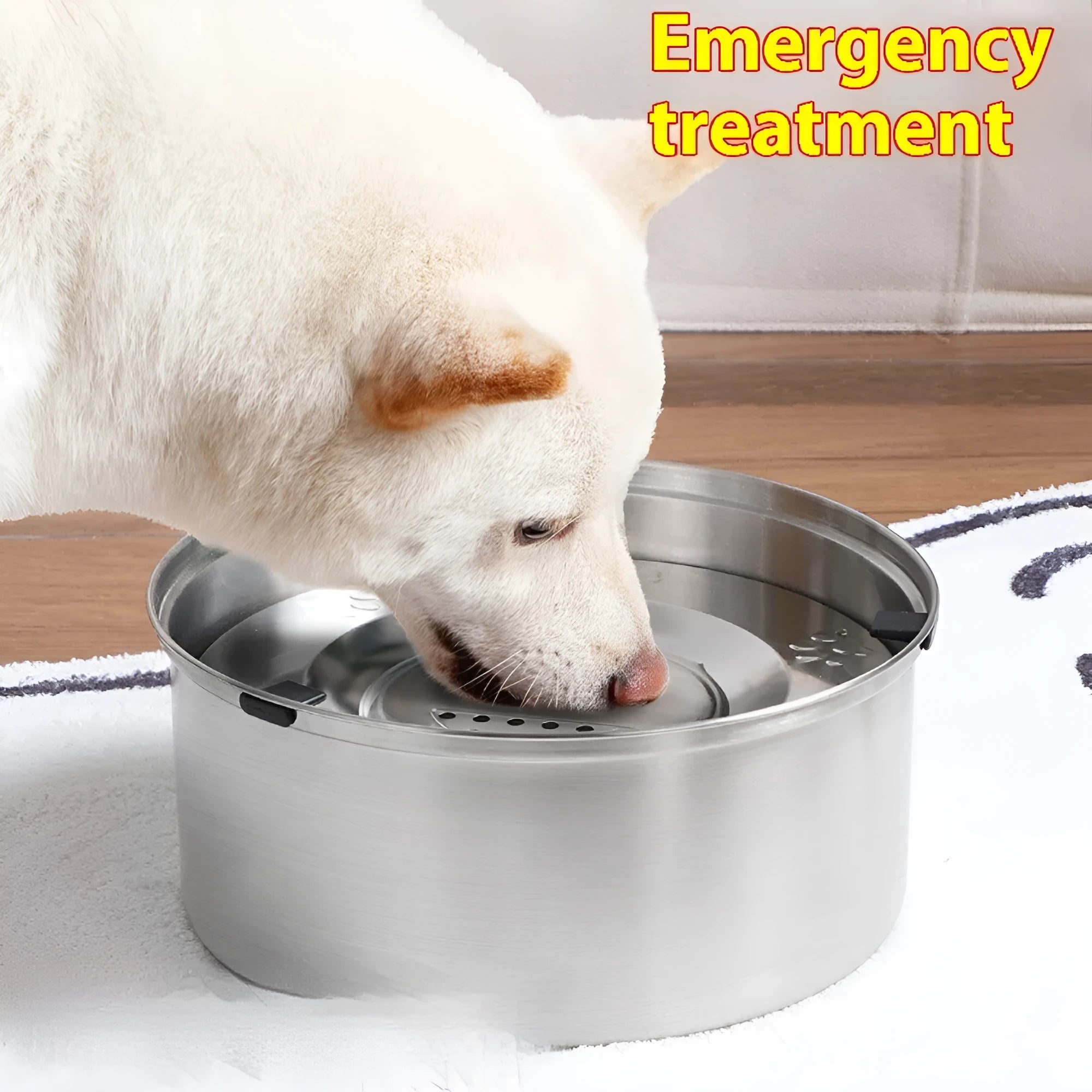 Silver stainless steel large capacity pet drinking water bowl for dogs and cats