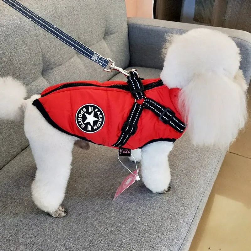 Waterproof dog coat with harness opening in rain silk material available in multiple colours and sizes