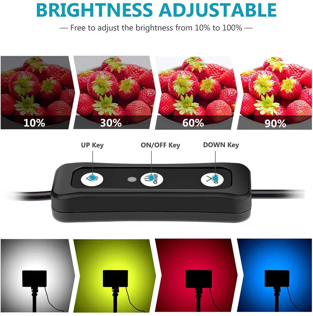 Neewer 2 pack portable LED panel light with mini tripod and extension stick on a tabletop