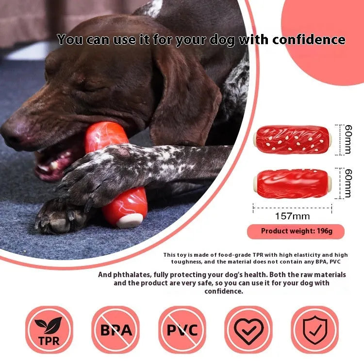 Primary colour plastic dog chew toy with molar rod snack holder and replaceable glue toothbrush attachment