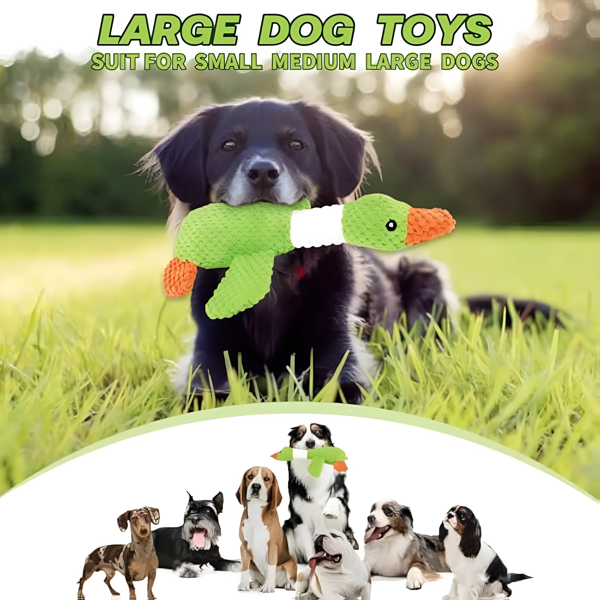 Blue durable plush duck dog toy with two squeakers for chew and fetch play.