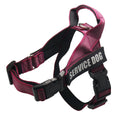 Personalised adjustable pet harness with reflective stripes on a small dog, available in black, pink rose, and red sizes XS to XXL