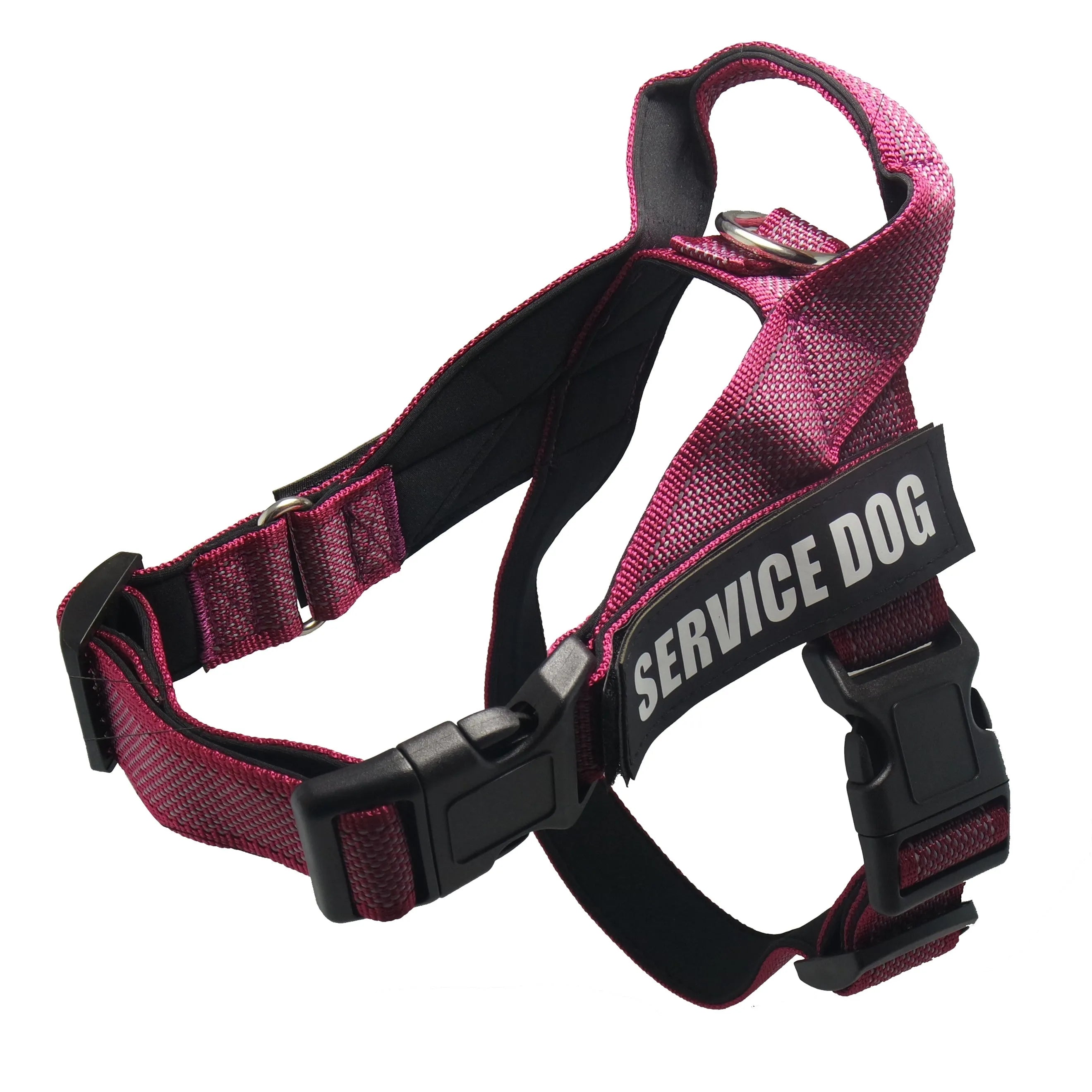 Personalised adjustable pet harness with reflective stripes on a small dog, available in black, pink rose, and red sizes XS to XXL