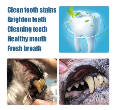 Yegbong pet teeth whitening pen with dental brush applicators for dogs and cats