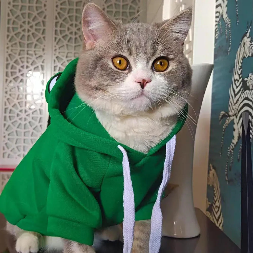 Green frog costume hoodie for small dog with hood and fleece material showing chest girth measurement