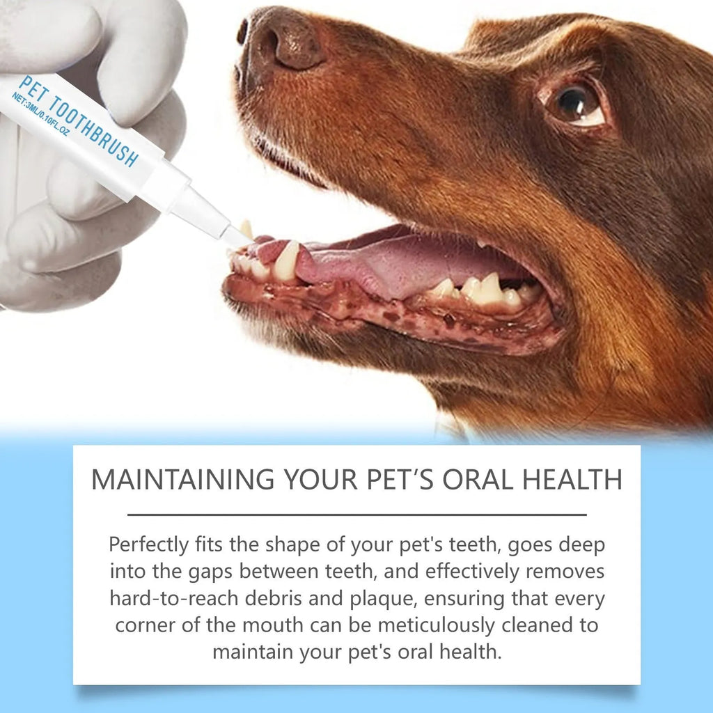 Soft bristle pet toothbrush pen with angled brush head and 3ml toothpaste gel for cats and dogs