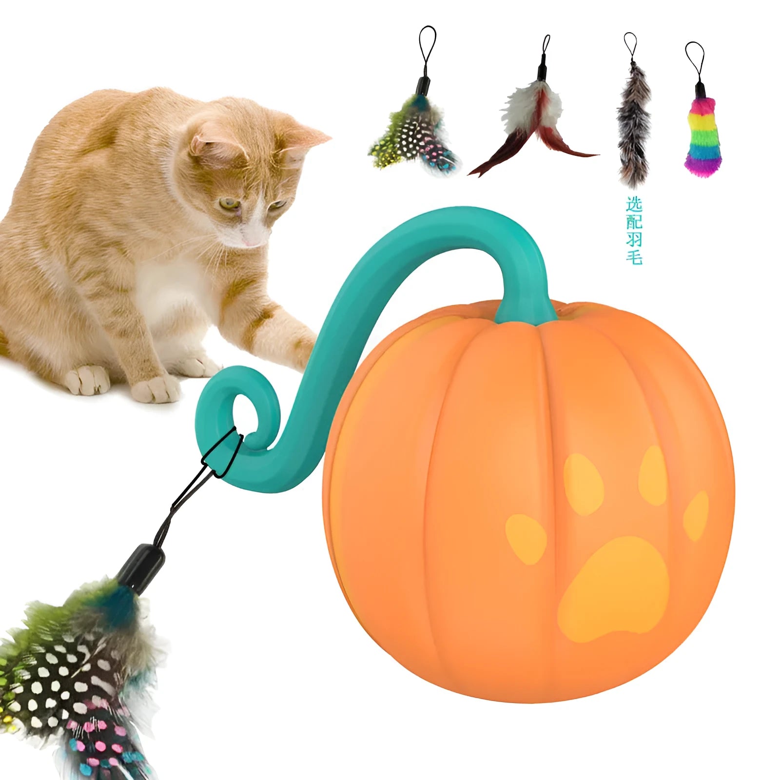 Electric cat toy with LED lights in watermelon and pumpkin designs showing automatic movement feature