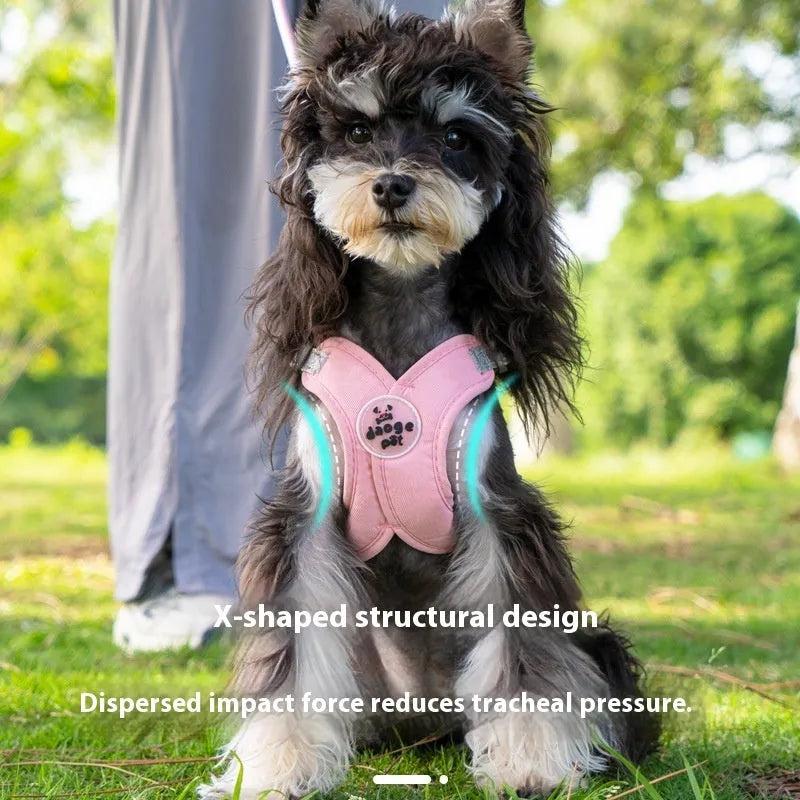 Pet walking vest and hand holding rope set in multiple colours with adjustable sizing