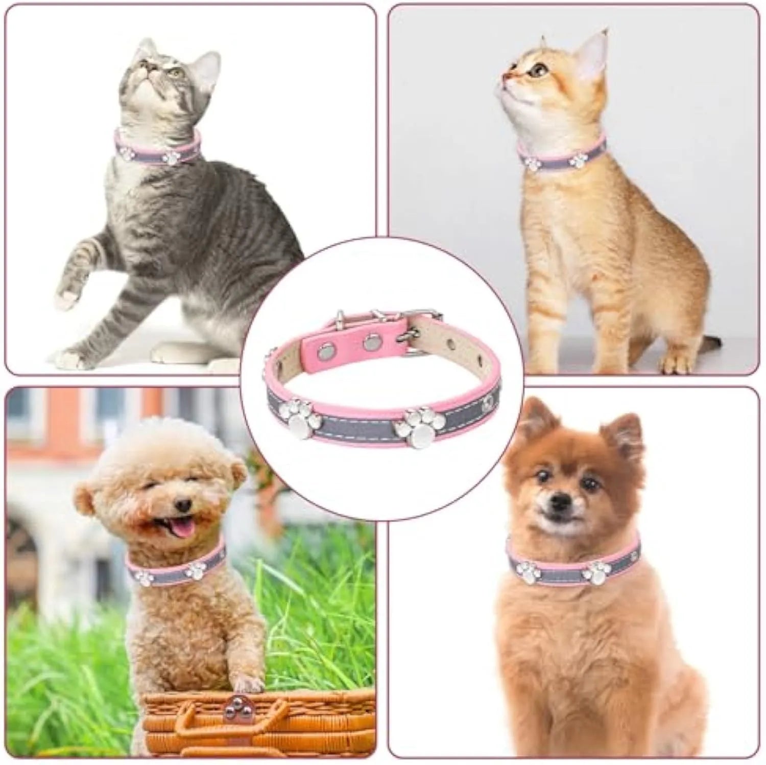 Reflective leather dog collar with paw rivets and metal buckle in adjustable sizes for dogs
