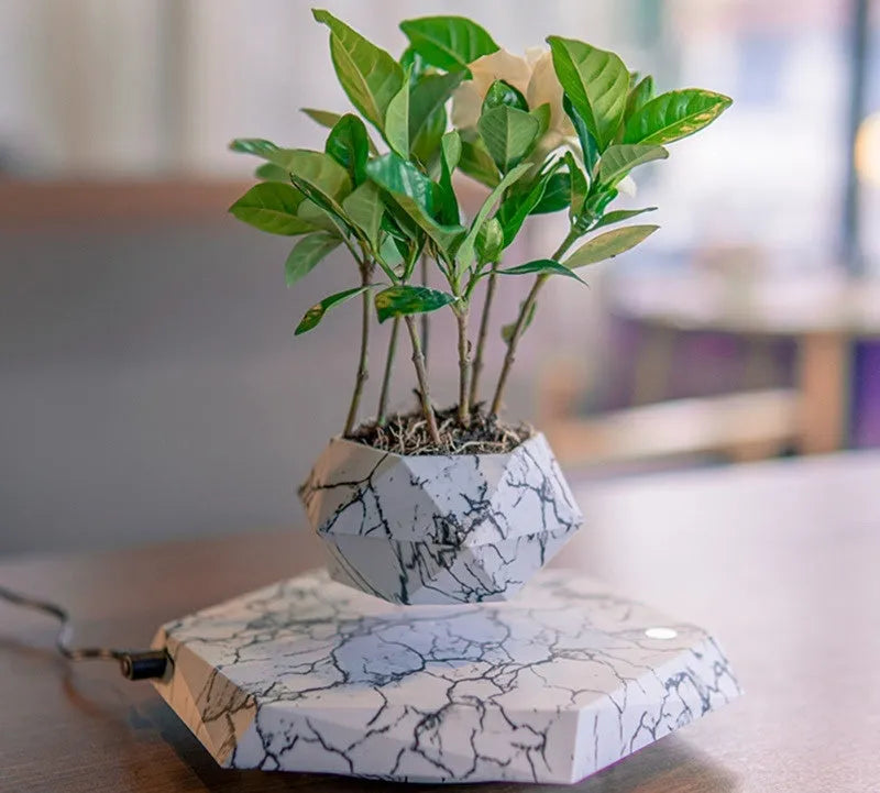 Marble-coloured levitating plant pot floating above magnetic base with small indoor plant
