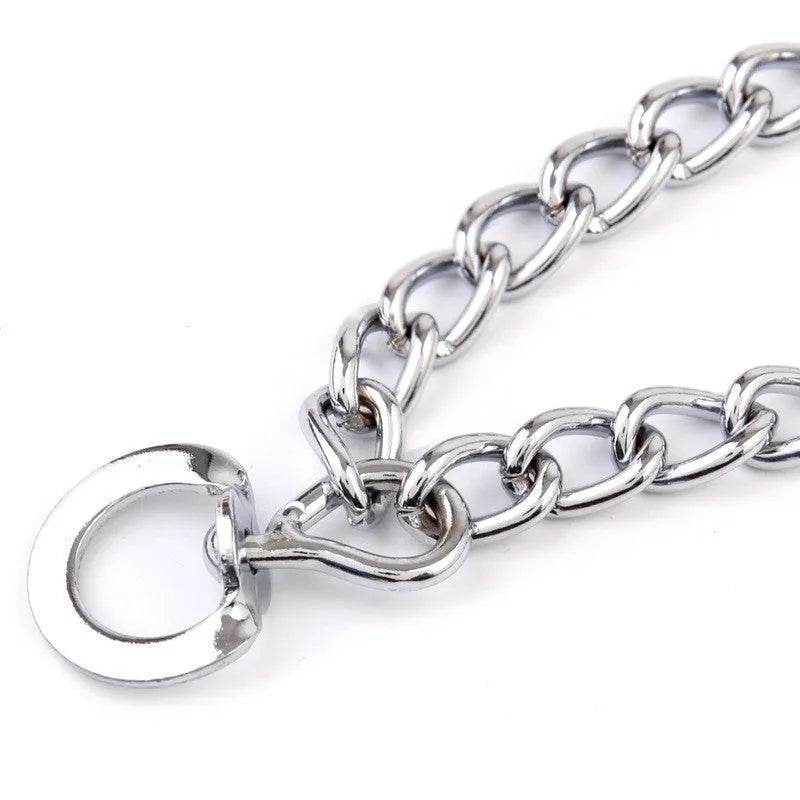 Dog training collar chain with protective sleeve and lead, Q195 iron, adjustable size