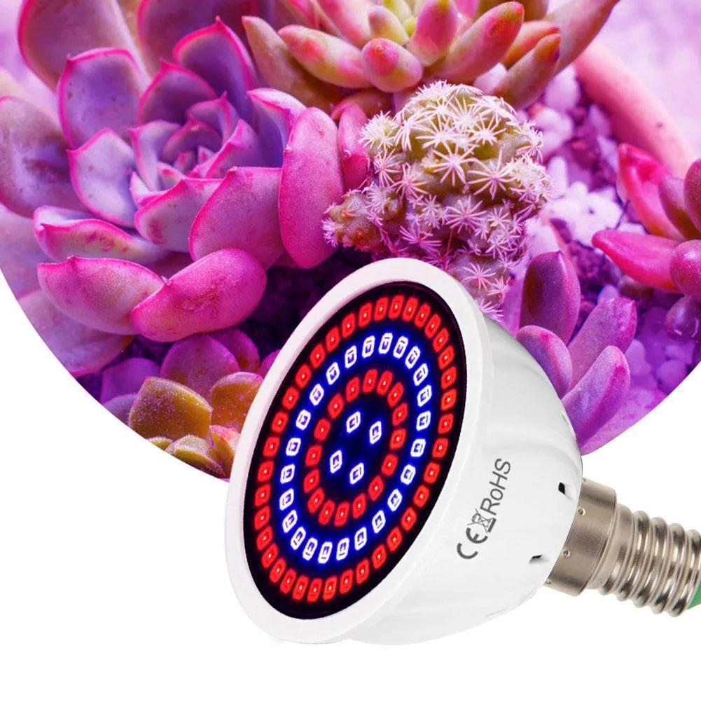 White LED grow light with 80 beads for indoor plant illumination covering 30-80cm² areas