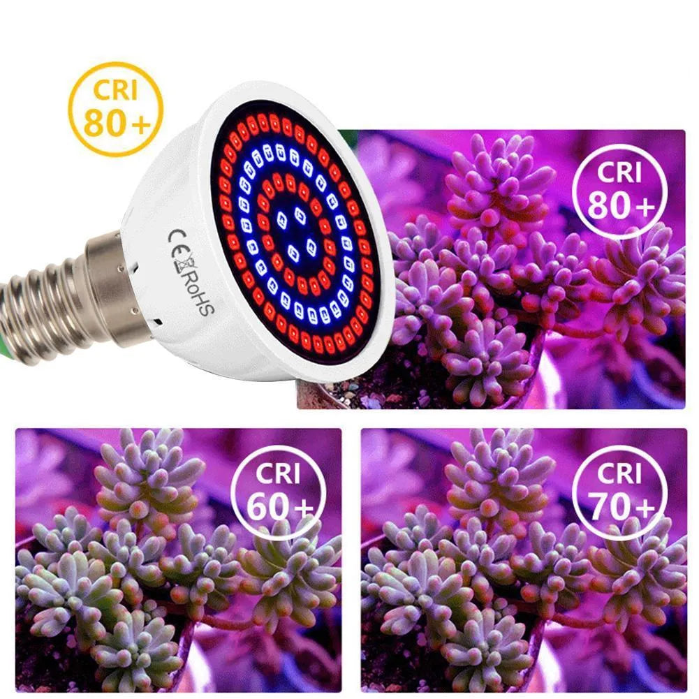 White LED grow light with 80 beads for indoor plant illumination covering 30-80cm² areas