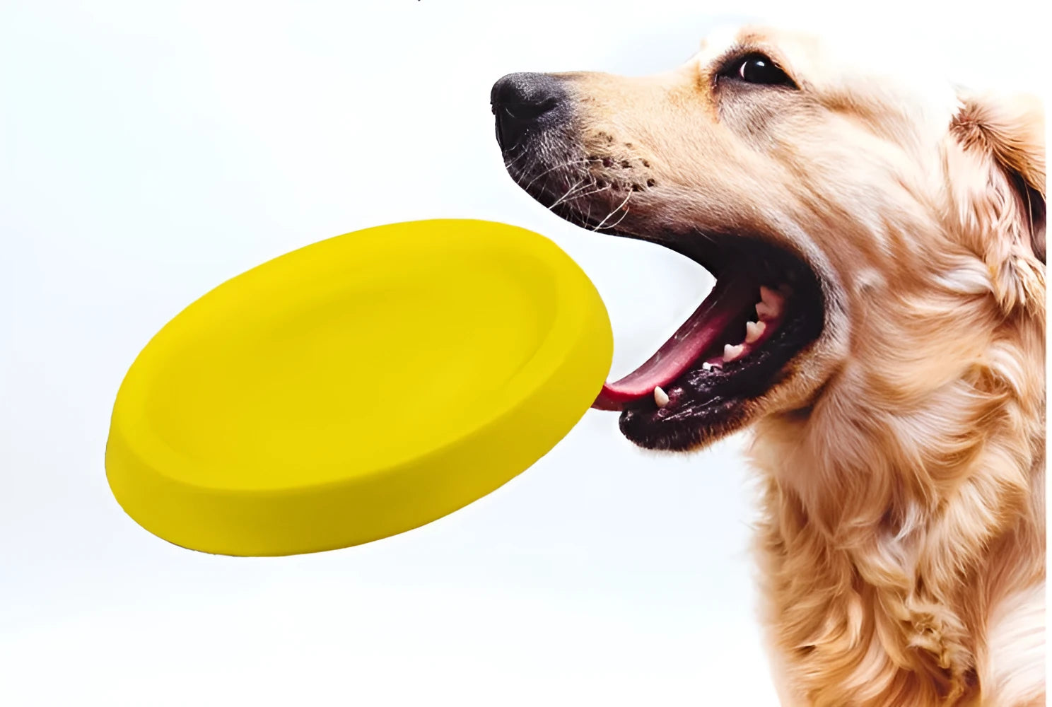 Yellow EVA dog throwing toy for training weighing 70g