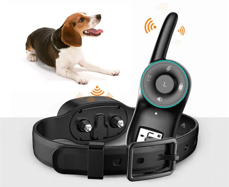 Black waterproof rechargeable dog training collar with remote control for medium large dogs