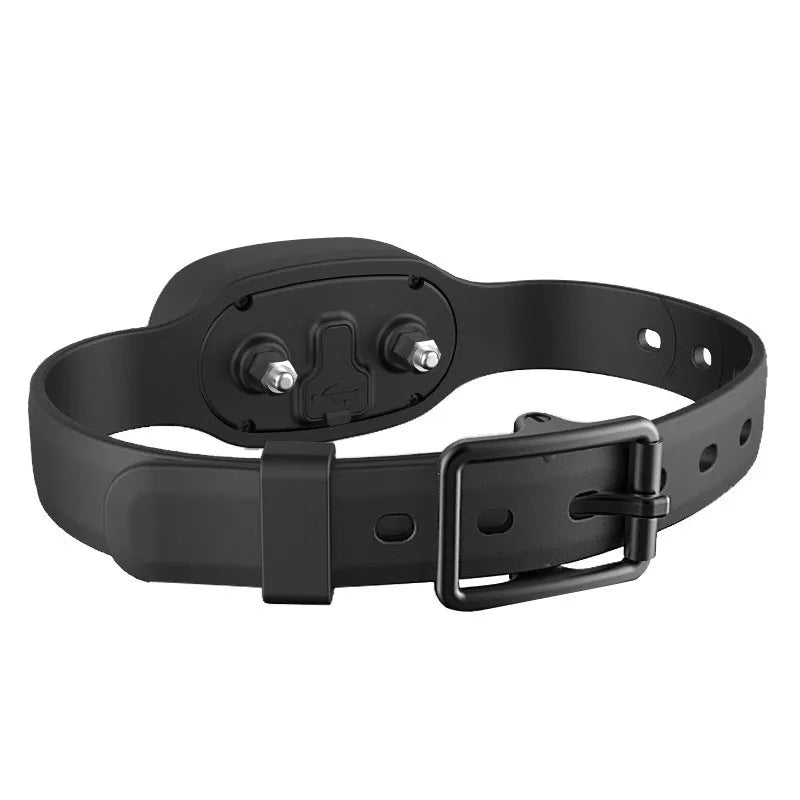 Black waterproof rechargeable dog training collar with remote control for medium large dogs