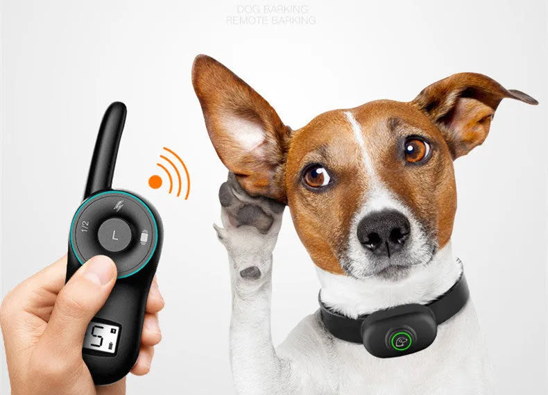 Black waterproof rechargeable dog training collar with remote control for medium large dogs