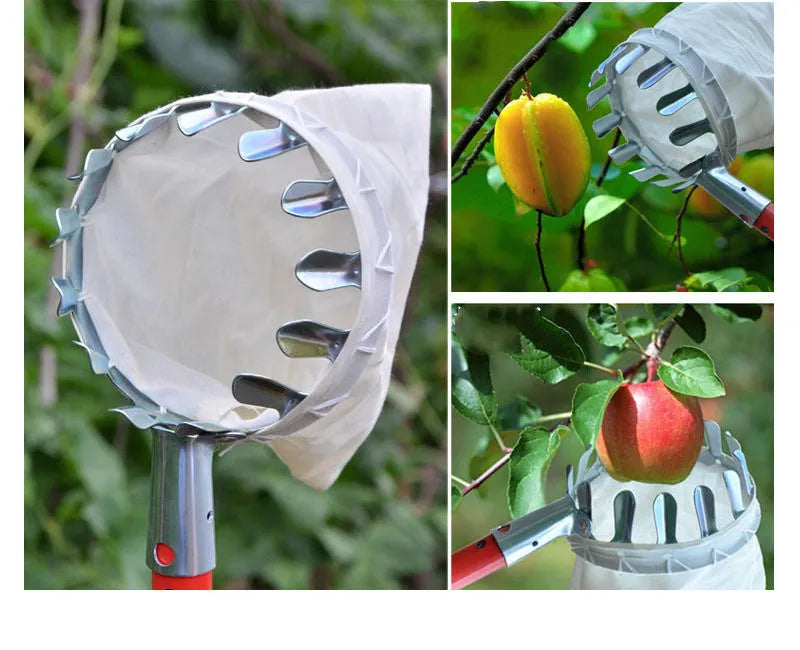 Portable fruit picker with steel frame and cloth bag catcher for garden harvesting