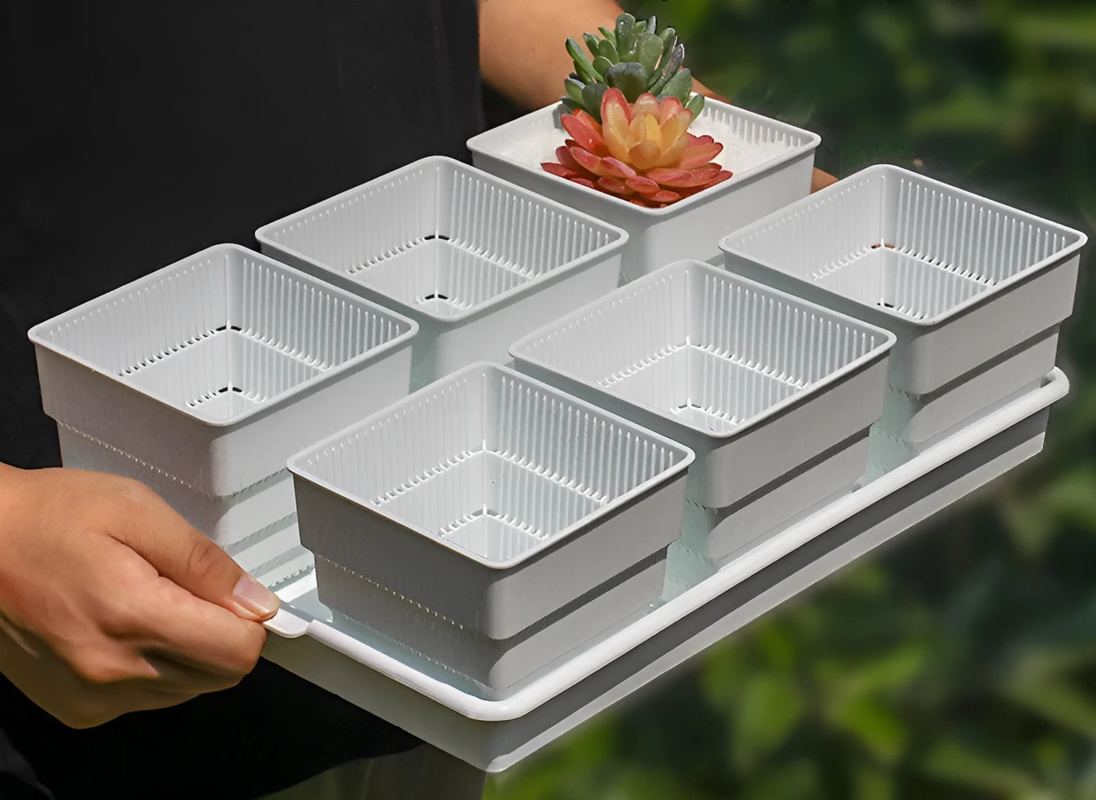 Black and white Meishi resin succulent flower pots with separate trays on a table.