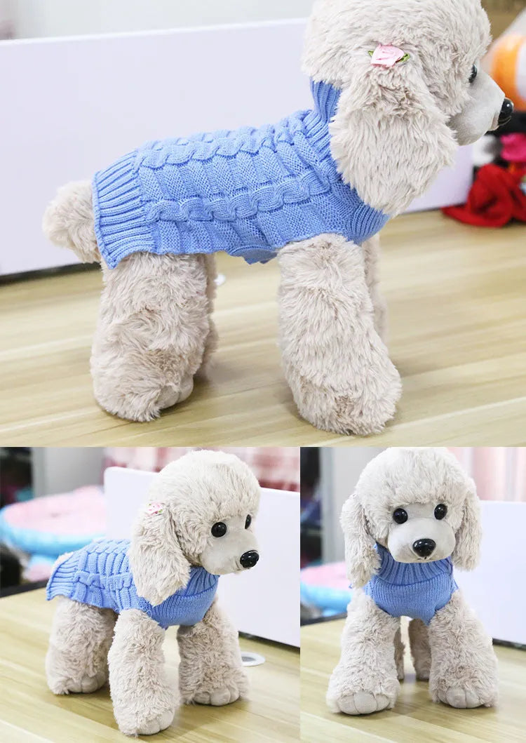 A small dog wearing a blue cashmere twisted rope sweater, showing the textured design and fit.