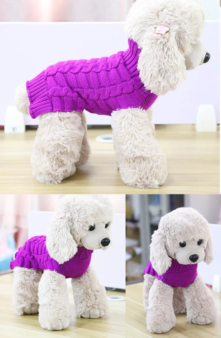 A small dog wearing a blue cashmere twisted rope sweater, showing the textured design and fit.