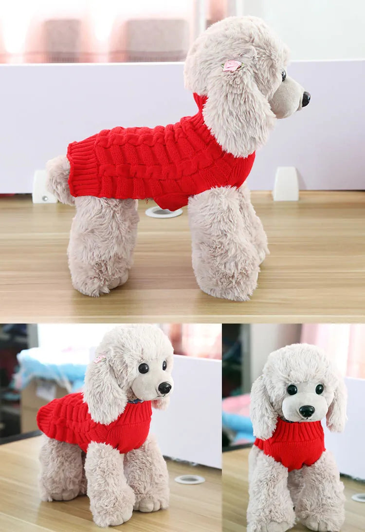 A small dog wearing a blue cashmere twisted rope sweater, showing the textured design and fit.