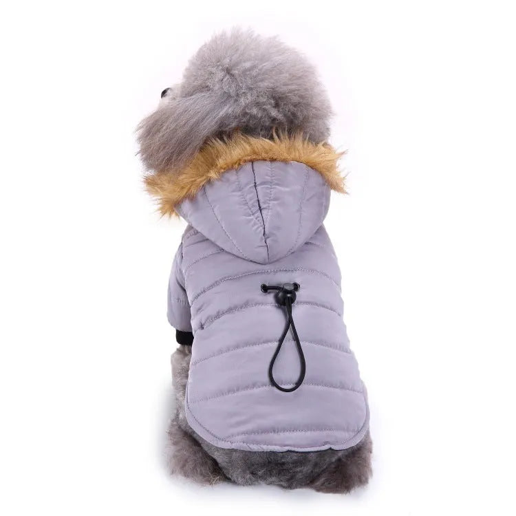 Winter pet dog coat polyester cotton lining available in green grey and red sizes S M L XL