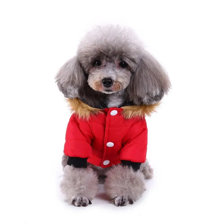 Winter pet dog coat polyester cotton lining available in green grey and red sizes S M L XL