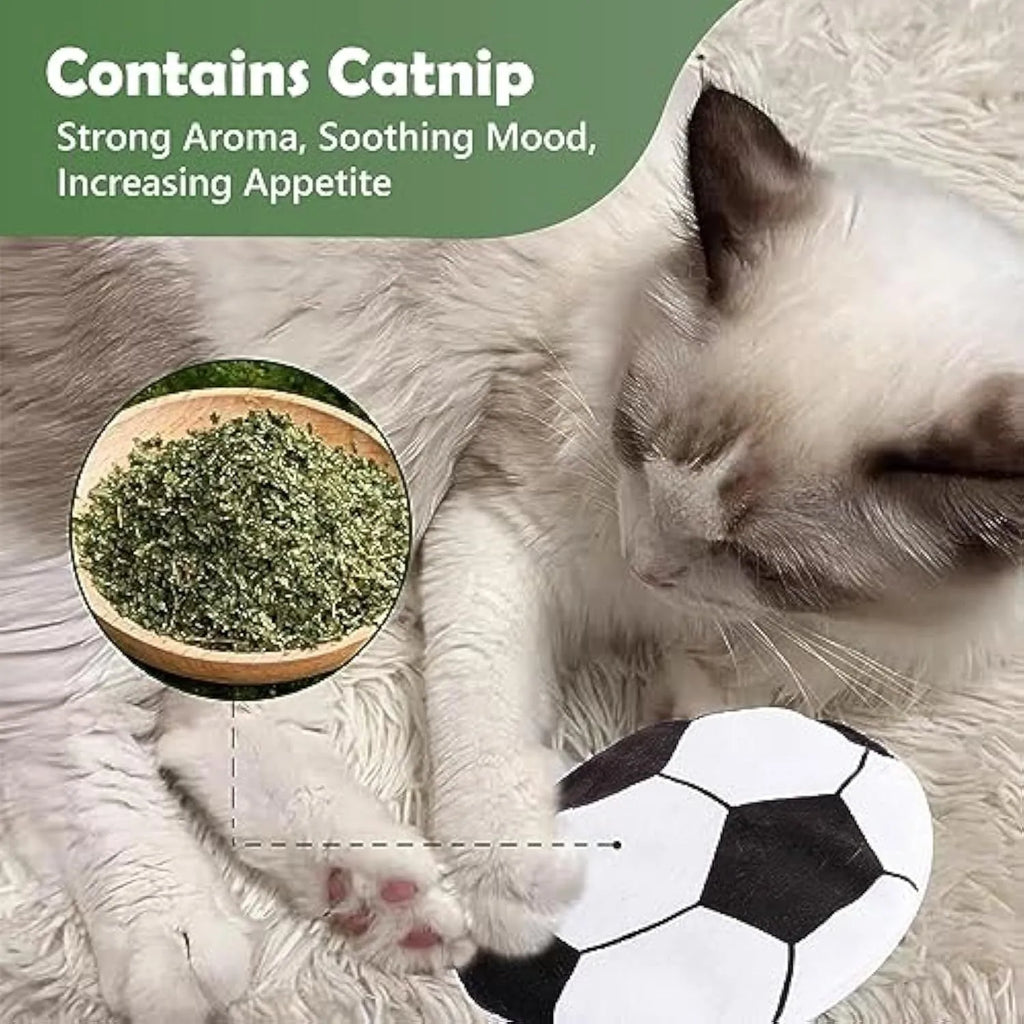 Soft plush cat toy with sports ball pattern, shown as a flat flying disc with dimensions 5 cm by 5 cm