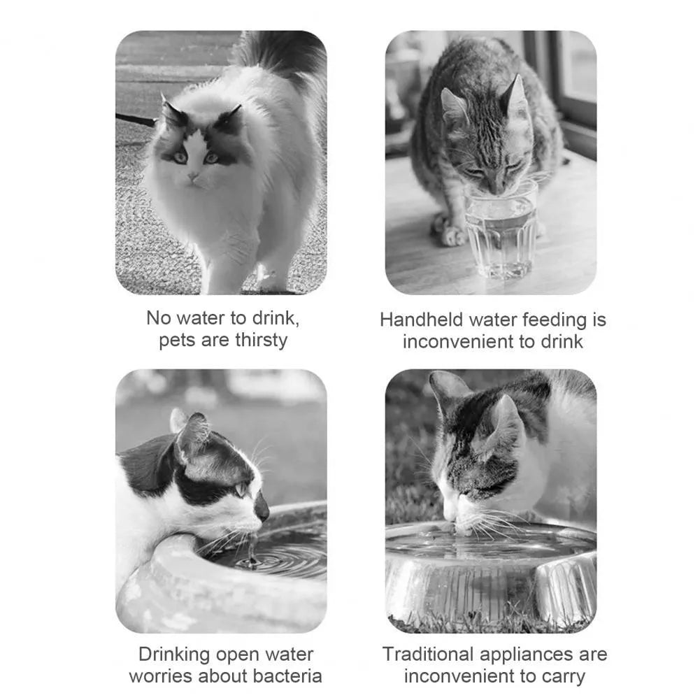 Portable pet water feeder bottle with food container in orange or white colour